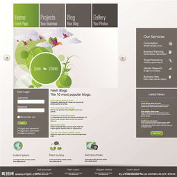 网站模板与网页设计 视觉与功能的完美融合